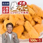 【2026年4月下旬以降順次発送】天然生うに100g×1パック岩手県産　ミョウバン不使用