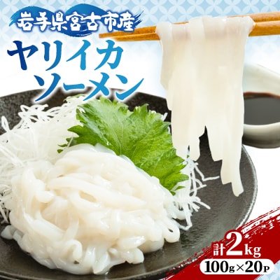 ヤリイカソーメン宮古産100g×20パック(2kg)