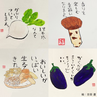 【新鮮野菜】こだわり厳選!旬の野菜セット
