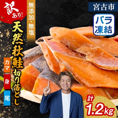 【訳あり】秋鮭切り落とし(カマ・身・尾)300g×4袋セット