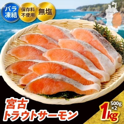 無添加・無塩　トラウトサーモン切身1kg入り