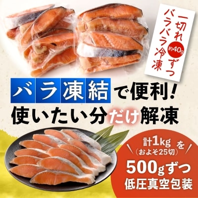 無添加・無塩　トラウトサーモン切身1kg入り