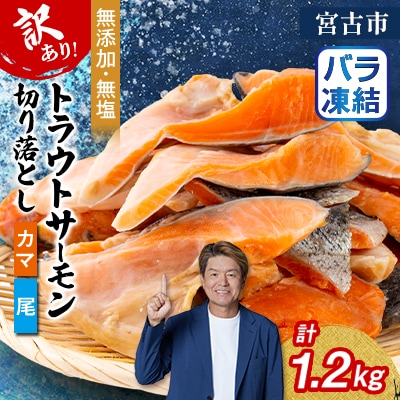 【訳あり】トラウトサーモン切り落とし(カマ・尾)300g×4袋セット
