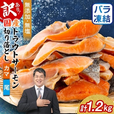 【訳あり】トラウトサーモン切り落とし(カマ・尾)300g×4袋セット