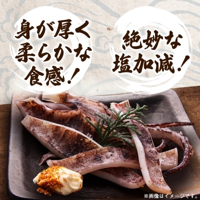 【訳あり】岩手県宮古市産スルメイカの一夜干し　1kg