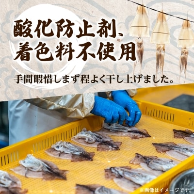 【訳あり】岩手県宮古市産スルメイカの一夜干し　1kg
