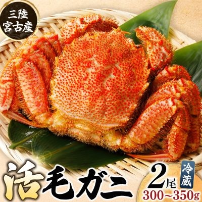 三陸宮古産　活毛ガニ　300g～350g×2杯