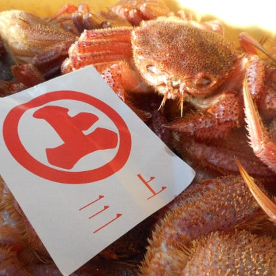 三陸宮古産　活毛ガニ　300g～350g×2杯