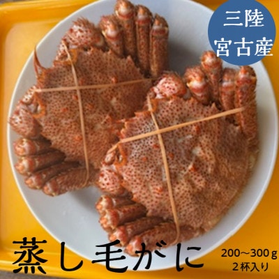 三陸宮古産　蒸し毛ガニ　200g～300g×2杯