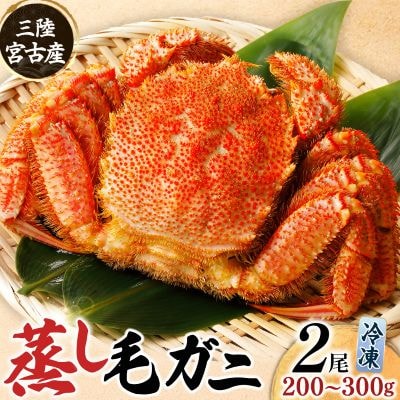 三陸宮古産 蒸し毛ガニ 200g~300g×2杯