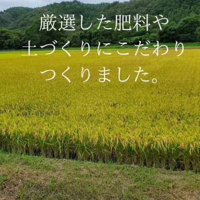 【令和6年産】岩手県産銀河のしずく 精米 5kg