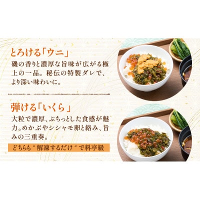 たっぷり漬け ウニ・イクラ 150g×各2箱 三陸 海の宝石箱 海鮮丼の具 めかぶ入り 岩手県宮古市