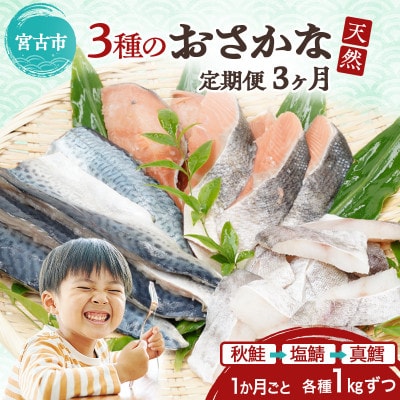 【3ヵ月毎定期便】三陸で獲れた人気の天然魚3種セットの定期便全3回