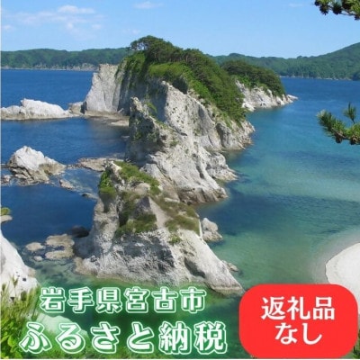 【返礼品なし】岩手県宮古市への寄附(1,000円)