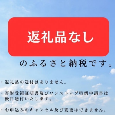 【返礼品なし】岩手県宮古市への寄附(1,000円)