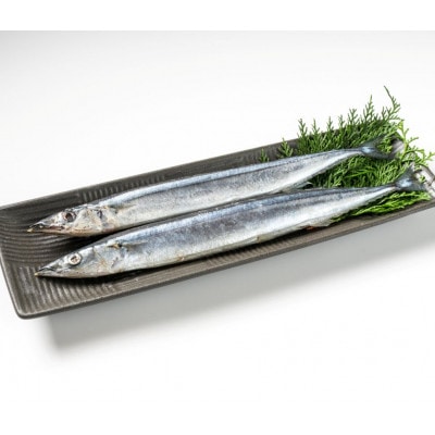 塩さんま(秋刀魚)20尾入