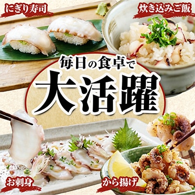 水タコボイル足　3kg　真空