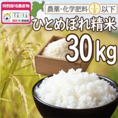 【令和3年産】栽培期間中農薬・化学肥料節減米「ひとめぼれ」(精米30kg)