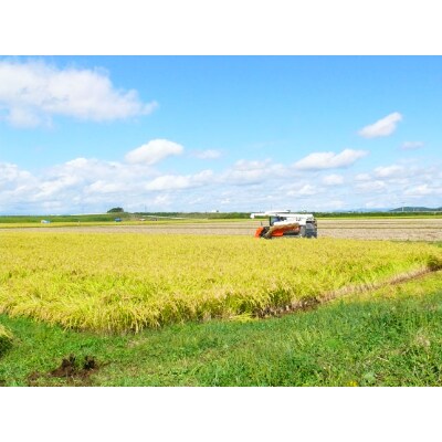 【令和3年産】栽培期間中農薬・化学肥料節減米「ひとめぼれ」(精米30kg)