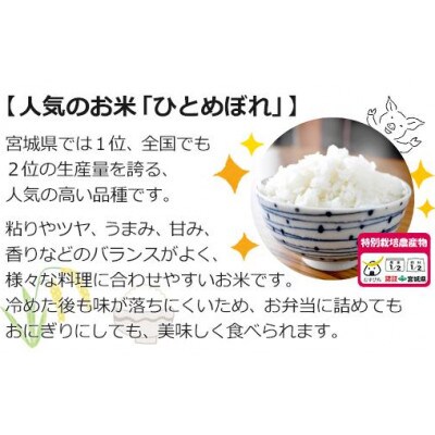 【令和5年産】栽培期間中農薬・化学肥料節減米「ひとめぼれ」(精米5kg)