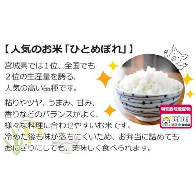 【令和5年産】栽培期間中農薬・化学肥料節減米「ひとめぼれ」精米10kg(5kg×2袋)