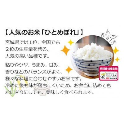 【令和5年産】栽培期間中農薬・化学肥料節減米「ひとめぼれ」精米20キロ(5kg×4袋)