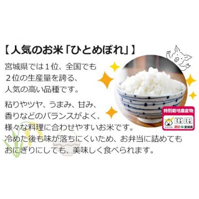 令和産栽培期間中農薬・化学肥料節減米ひとめぼれ精米