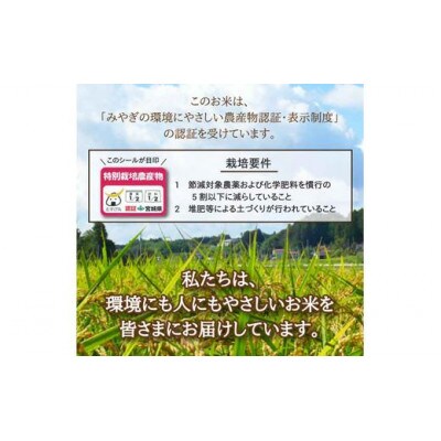【令和5年産】栽培期間中農薬・化学肥料節減米「ひとめぼれ」(精米30kg)