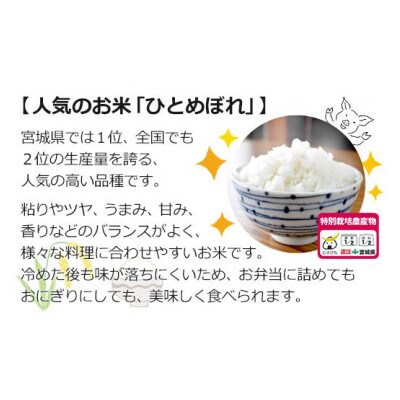 【令和4年産】栽培期間中農薬・化学肥料節減米「ひとめぼれ」(玄米30kg)