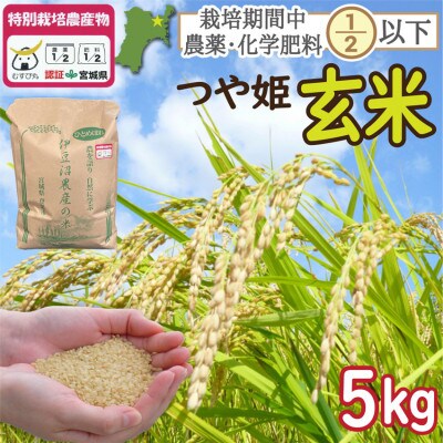 特別栽培米 つや姫 玄米5kg 宮城県登米市産【令和6年度産】