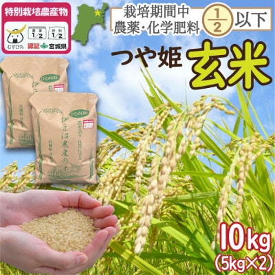 特別栽培米 つや姫 玄米10kg (5kg×2) 宮城県登米市産【令和6年度産】