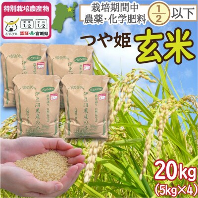 特別栽培米 つや姫 玄米 20kg(5kg×4) 宮城県登米市産【令和6年度産】