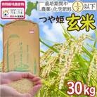 特別栽培米 つや姫 玄米30kg 宮城県登米市産【令和6年度産】