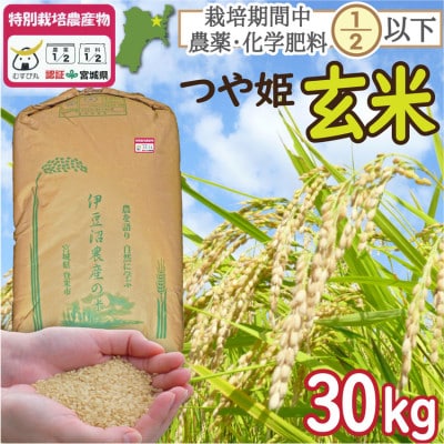 特別栽培米 つや姫 玄米30kg 宮城県登米市産【令和6年度産】