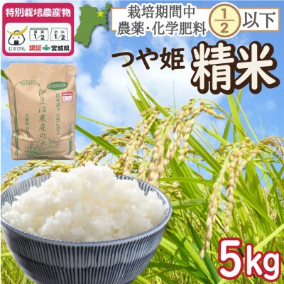 特別栽培米 つや姫 精米5kg 宮城県登米市産【令和6年度産】白米