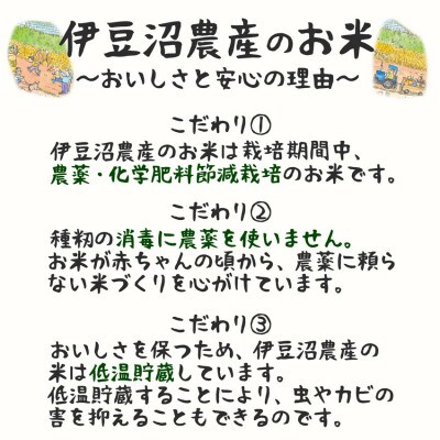 特別栽培米 つや姫 精米10kg(5kg×2) 宮城県登米市産【令和6年産】白米