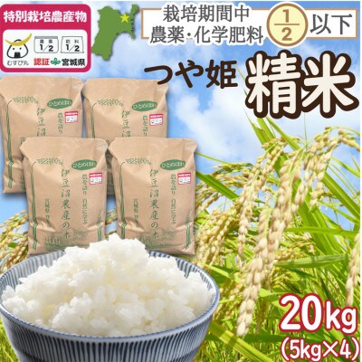 特別栽培米 つや姫 精米20kg(5kg×4) 宮城県登米市産【令和6年産】白米