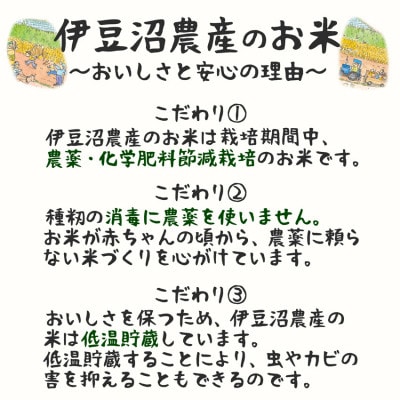 特別栽培米 つや姫 精米20kg(5kg×4) 宮城県登米市産【令和6年産】白米