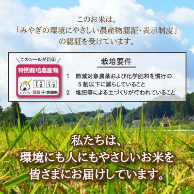 特別栽培米 つや姫 精米20kg(5kg×4) 宮城県登米市産【令和6年産】白米