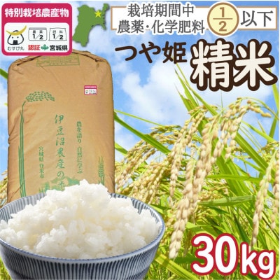 特別栽培米 つや姫 精米30kg 宮城県登米市産【令和6年産】白米