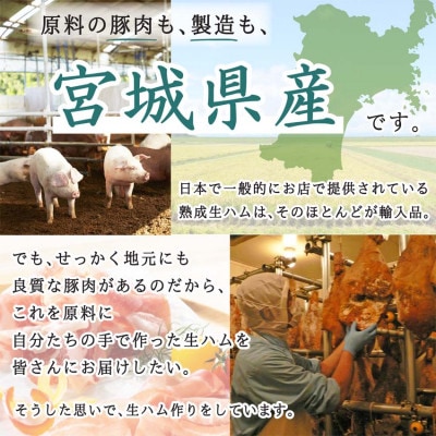伊豆沼ハム 肩ロース生ハムブロック 約1.2kg