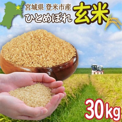 宮城県登米市産 ひとめぼれ 玄米 30kg【令和7年産】