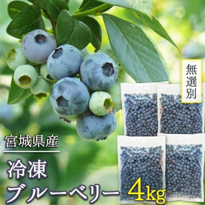訳あり 無選別 冷凍ブルーベリー 4kg