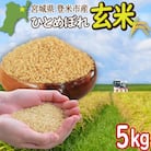 宮城県登米市産 ひとめぼれ 玄米 5kg【令和7年産】