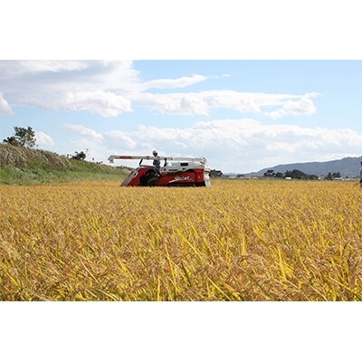 ササニシキ白米5kg(宮城県認証栽培期間中農薬・化学肥料不使用栽培)
