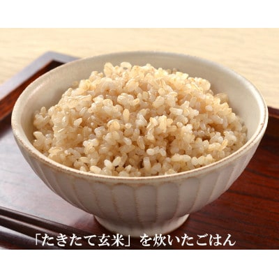 JAS有機栽培【玄米】「たきたて」5kg (2025年産)