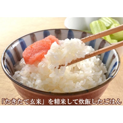 JAS有機栽培【玄米】「たきたて」5kg (2025年産)