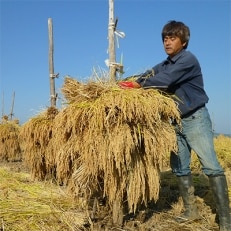 天日干しの有機精米「つや姫」5kg(2019年産)