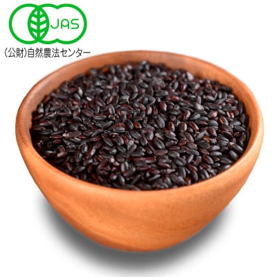 黒米「朝紫」有機JAS認証 天日干し米400g×4袋 2021産米 古代米