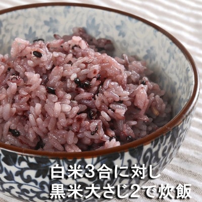 黒米「朝紫」有機JAS認証 天日干し米400g×4袋 2021産米 古代米